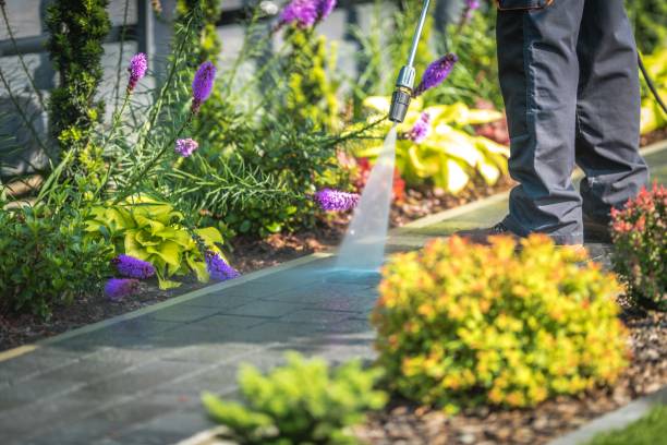 Best Gutter Cleaning  in Tiburon, CA